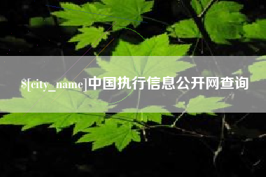 漳州中国执行信息公开网查询