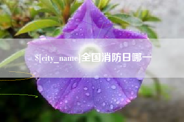 漳州全国消防日哪一