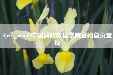 漳州中国消防救援学院官网首页查询