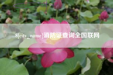 漳州消防证查询全国联网
