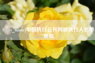 漳州中国执行公开网被执行人名单查询