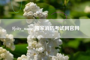 漳州国家消防考试网官网