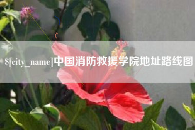 漳州中国消防救援学院地址路线图