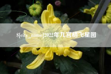 漳州2022年九宫格飞星图