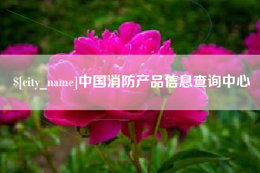 漳州中国消防产品信息查询中心
