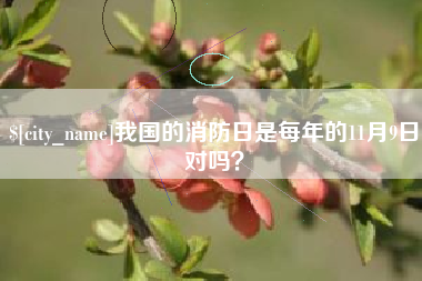 漳州我国的消防日是每年的11月9日对吗？