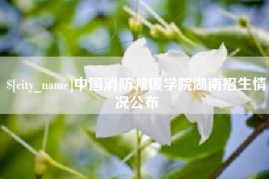 漳州中国消防救援学院湖南招生情况公布