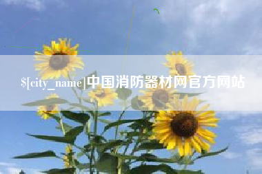 漳州中国消防器材网官方网站