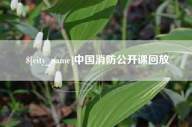漳州中国消防公开课回放