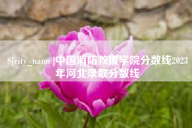 漳州中国消防救援学院分数线2023年河北录取分数线