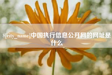 漳州中国执行信息公开网的网址是什么