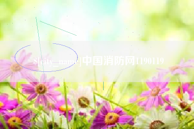 漳州中国消防网1190119