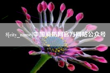 漳州中国消防网官方网站公众号