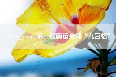 漳州第一波奥运金牌“九宫格”