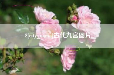 漳州古代九宫图片