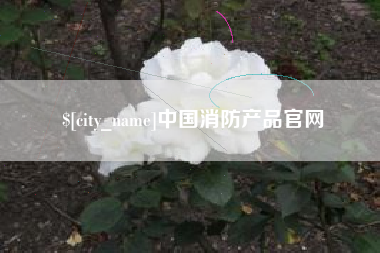 漳州中国消防产品官网