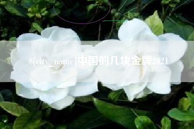 漳州中国的几块金牌2021