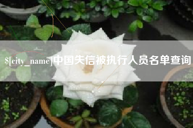 漳州中国失信被执行人员名单查询