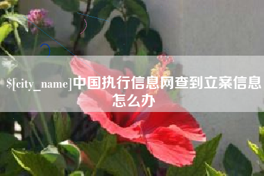 漳州中国执行信息网查到立案信息怎么办