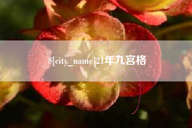 漳州21年九宫格
