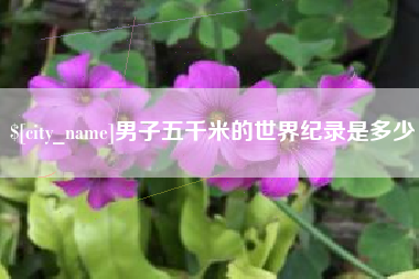 漳州男子五千米的世界纪录是多少