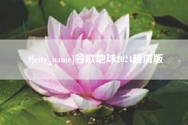 漳州谷歌地球2024超清版