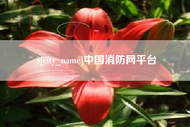 漳州中国消防网平台
