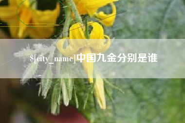 漳州中国九金分别是谁