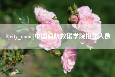 漳州中国消防救援学院招生人数
