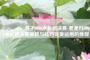 漳州男子5000米长跑决赛-更是对5000米长跑决赛策略与技巧完美运用的体现