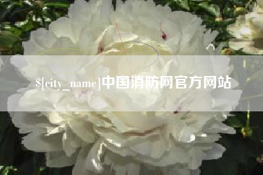 漳州中国消防网官方网站