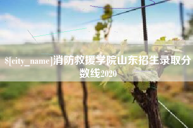 漳州消防救援学院山东招生录取分数线2020