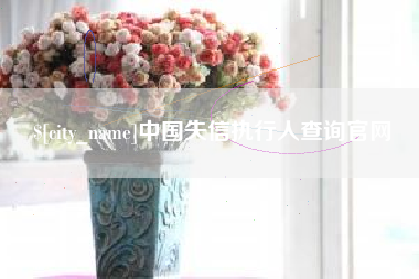 漳州中国失信执行人查询官网