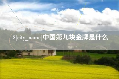 漳州中国第九块金牌是什么