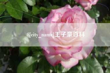 漳州王子豪百科