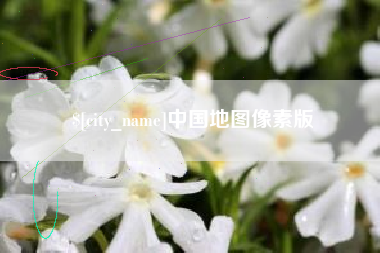 漳州中国地图像素版