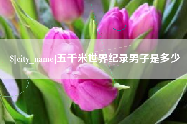 漳州五千米世界纪录男子是多少