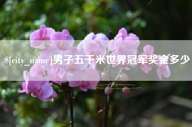 漳州男子五千米世界冠军奖金多少