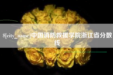 漳州中国消防救援学院浙江省分数线
