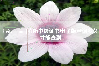 漳州消防中级证书电子版查询多久才能查到