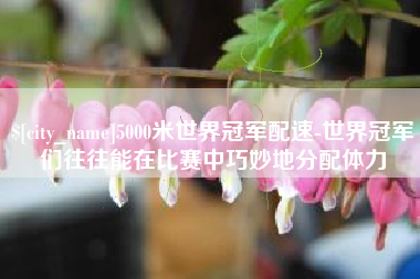 漳州5000米世界冠军配速-世界冠军们往往能在比赛中巧妙地分配体力