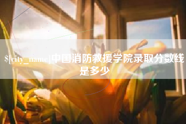 漳州中国消防救援学院录取分数线是多少
