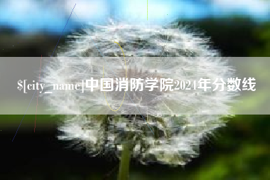 漳州中国消防学院2024年分数线