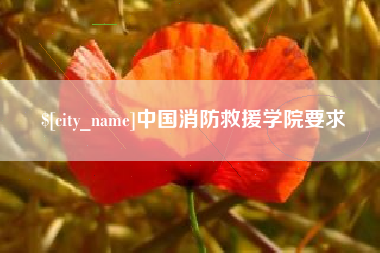漳州中国消防救援学院要求
