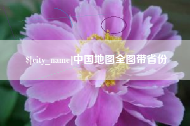 漳州中国地图全图带省份