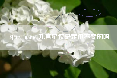 漳州九宫星位是定位不变的吗
