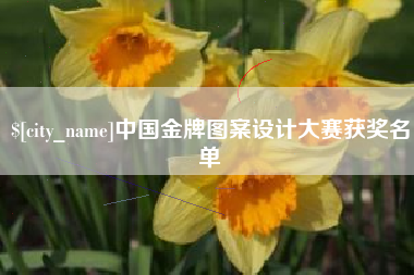 漳州中国金牌图案设计大赛获奖名单
