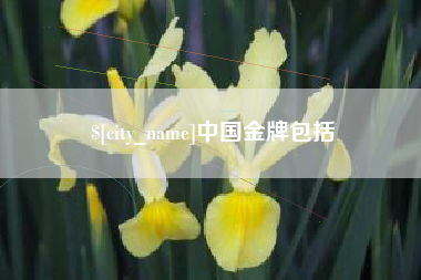 漳州中国金牌包括