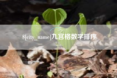 漳州九宫格数字排序