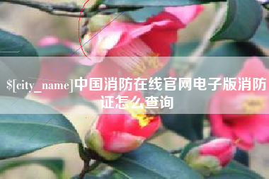 漳州中国消防在线官网电子版消防证怎么查询